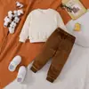Conjunto de franela para niños de comercio exterior transfronterizo otoño e invierno, con un diseño de bordado de dinosaurio de dibujos animados, que consta de una sudadera de manga larga y pantalones largos, un conjunto de dos piezas para niños