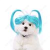 Peluca nueva para mascotas tocado para gato y perro con flequillo bob accesorios divertidos para el pelo de mascotas accesorios de cosplay para mascotas