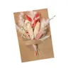 Flores Secas, Flores Preservadas, Ramilletes de Boda para Novia y Dama de Honor, Decoraciones para Cajas de Regalo, Vestidos para Fiestas de Celebración, Mini Ramos, Accesorios