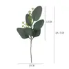 Simulación transfronteriza esquejes de eucalipto rama corta eucalipto diy decorativo eucalipto frutal conjunto de combinación de hojas planta verde artificial