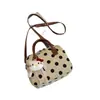 Bolsa de Nylon com Bolinhas de Design de Nicho Estilo Coreano, Versátil para o Trabalho e Uso Casual, Bolsa Quadrada Pequena Feminina, Bolsa de Mão e Bolsa Transversal