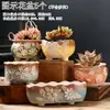Vaso de Flor Suculenta Cerâmica Preço Especial Liquidação Esmaltado Tamanhos Grande e Pequeno Simples Pastoral Mesa Vasos de Barro Respirável Plantas Leede Estoque