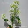 Flor de piedra coliflor silvestre cebolleta bosque salón de bodas área de bienvenida pared de flores arreglo floral flor artificial comercio exterior al por mayor flor artificial
