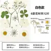 Marcapáginas de flores secas especímenes colección de primavera en botella de película plástica materiales hechos a mano para manualidades estudiantes de primaria flores transparentes