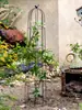 Juxuan Reja de Hierro Forjado Rosa Flor Mensual Estante para Trepadora Clematis Estante para Plantas Trepadoras Poste de Soporte para Maceta Jaula para Pájaros