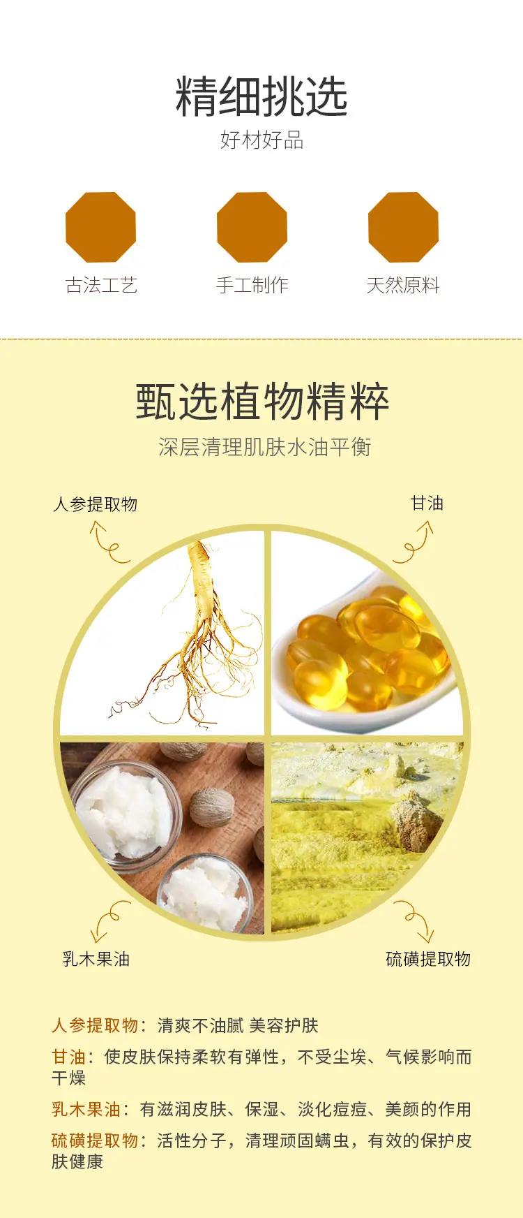 苦参3_02.jpg