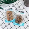 Xinnongge Nozes Pecã Macadâmia Partículas Grandes Peça Única 3,5kg