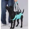 Nuevo Arnés de Soporte para Mascotas para Perros Mayores, Perros con Discapacidad, Correa para Caminar para Rehabilitación