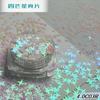 Venta Directa de Fábrica Decoraciones para Uñas Estrella de Cuatro Puntas Lentejuelas, Piezas Reflectantes Estrella de Cuatro Puntas Rellenas de Resina, Arte para Uñas Fluido