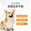 Alimento Nutritivo para Perros Bosque 10 kg Algodón de Carne Arcoíris Perro Adulto Cachorro Perro Pequeño Teddy Bichón Corgi Perro Mascota Alimento