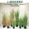 Bonsái de césped artificial para perro transfronterizo, césped de cebolla, planta grande, decoración de suelo para escaparate, planta verde en maceta, planta verde artificial