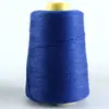 Hilo de Poliéster de Colores para Coser Bolsas, Hilo de Sellado para Máquina de Coser de Bolsos de Mano, Hilo de Sellado para Empaque de Bolsas Tejidas, Hilo para Zongzi, Hilo y Aguja de Alta Resistencia