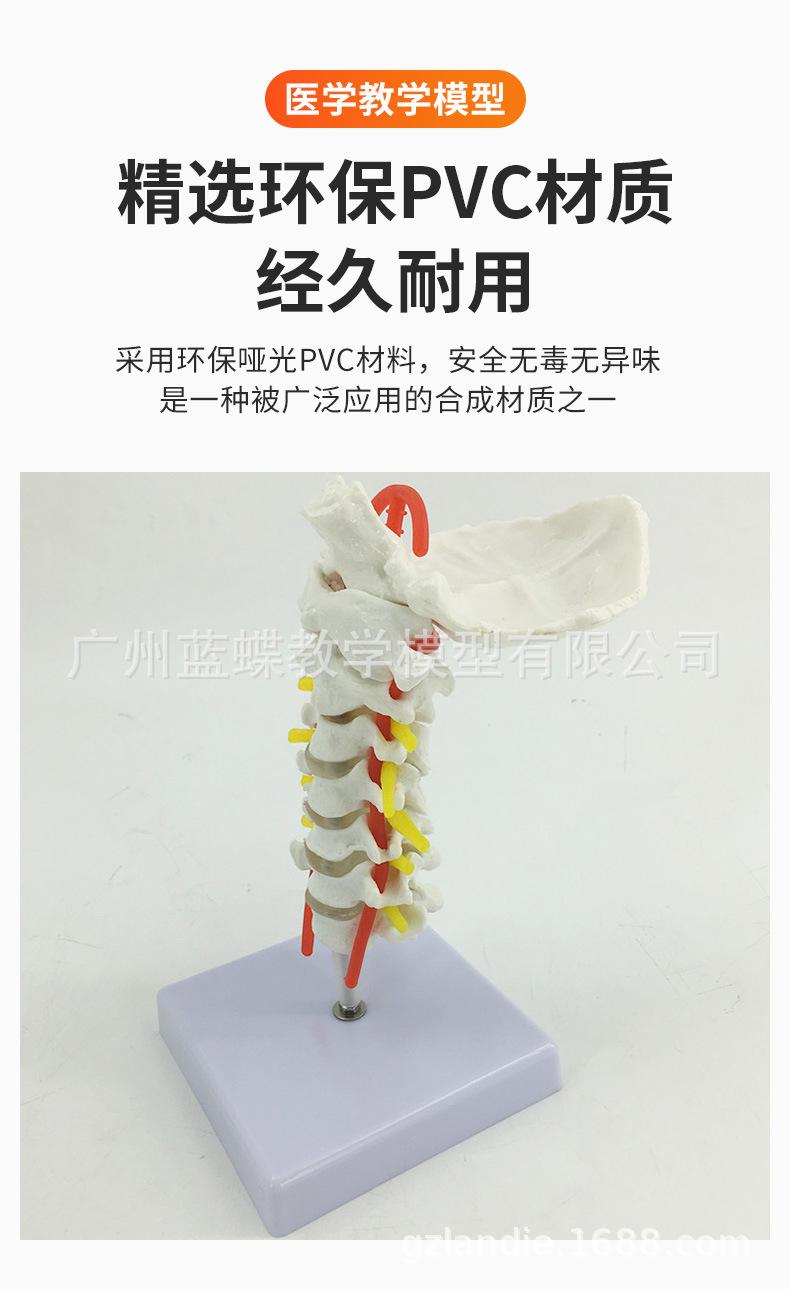 详情_03.jpg
