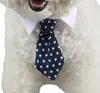 Jizaizai accesorios para mascotas algodón pajarita de perro al por mayor linda mascota caballero corbata negra rayada moda mascota Cuatro Estaciones corbata roja