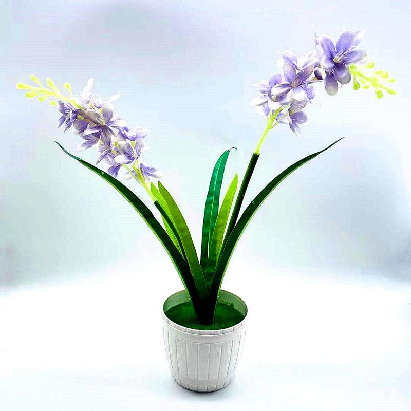 微信图片_20211008194244_副本