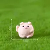 Jardinería con Musgo Micro Paisaje Creativo Rana Linda Animales Miniatura Decoración DIY Accesorios Mini Adornos Pequeños