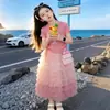 Conjunto para Menina 2026 Novo Estilo Saia Biscoito Fofa Infantil Vestido de Verão para Menina Conjunto de Duas Peças com Suéter de Seda de Gelo Tendência