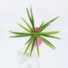 Ventas Directas de Fábrica Paredes de Plantas Simuladas Accesorios de Decoración de Paredes de Plantas Verdes Hierba Orquídea Araña Individual Hojas de Orquídea Araña con Borde Dorado