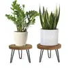 Soporte de Maceta de Madera Transfronterizo O Adornos Redondos de Tocón de Madera Base de Tocón de Árbol Pata de Hierro Estante de Almacenamiento para Macetas de Plantas Verdes