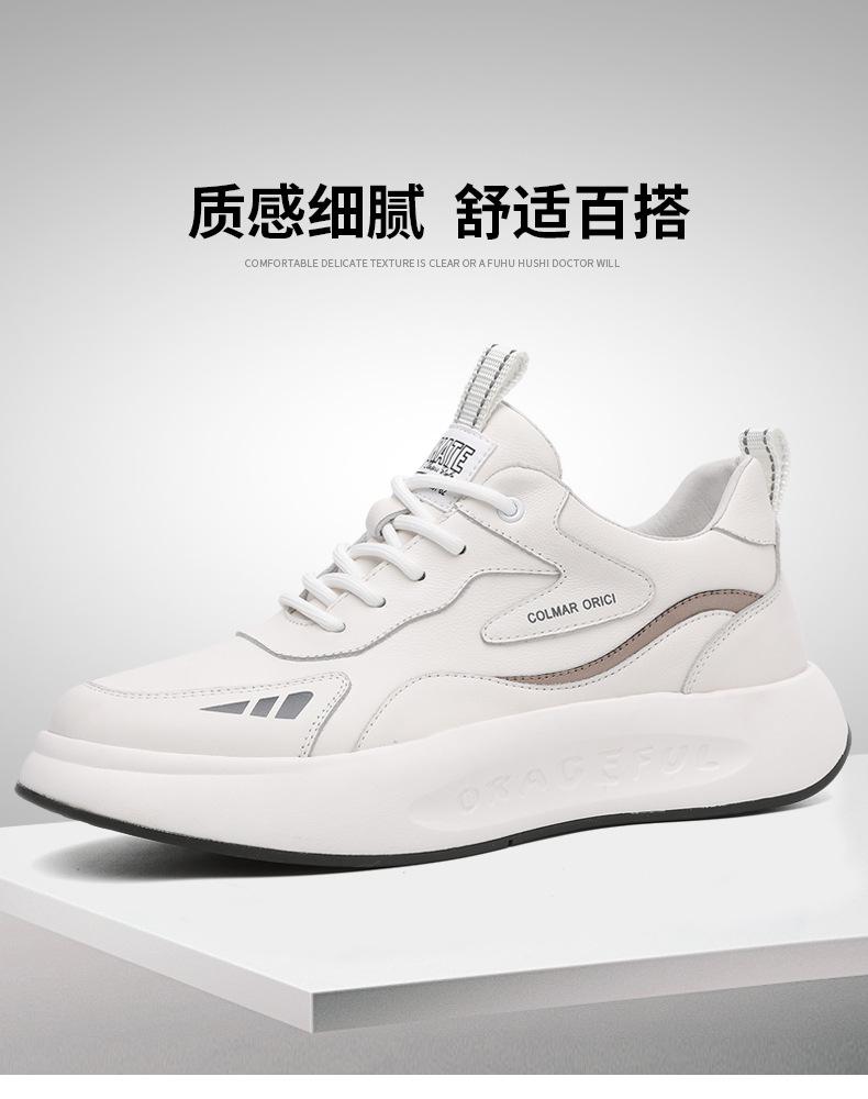 新款1_01