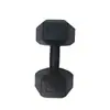 Halteres para Homens, Equipamento de Fitness para Casa, Kettlebells Femininos para Treinamento Muscular dos Braços, um Par de Halteres Hexagonais Revestidos de Borracha Conjunto para Estudantes