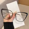 Novos Óculos Cat-Eye Artísticos Retrô para Mulheres, Estilo de Alto Padrão, Adequados para um Look Natural, Podem Ser Equipados com Lentes de Grau, Estilo Coreano, Óculos de Armação Grande