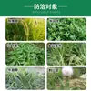 Ping'An Yulong Jingai Mai Sheng Hierba Ophiopogon Enana Japonesa Herbicida Hierba Yulong Iris Eliminación de Agua Punta de Cacahuete Malezas de Hoja Ancha