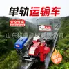 Veículo de Transporte Monotrilho de Montanha, Vagão de Trilho de Transporte entre Fileiras de Pomar e Encosta, Veículo de Transporte sobre Trilhos Autopropelido Agrícola
