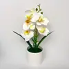 Maceta nueva baja y redonda con 5 orquídeas Phalaenopsis, decoración de escritorio para balcón de casa, planta en maceta decorativa de flores artificiales para decoración del hogar