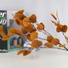 Flor artificial Eucalyptus Leaf Money Leaf Nordic Wedding Flor-arranjando Material Apple Leaf Fake Flower Home Flor Decorativa