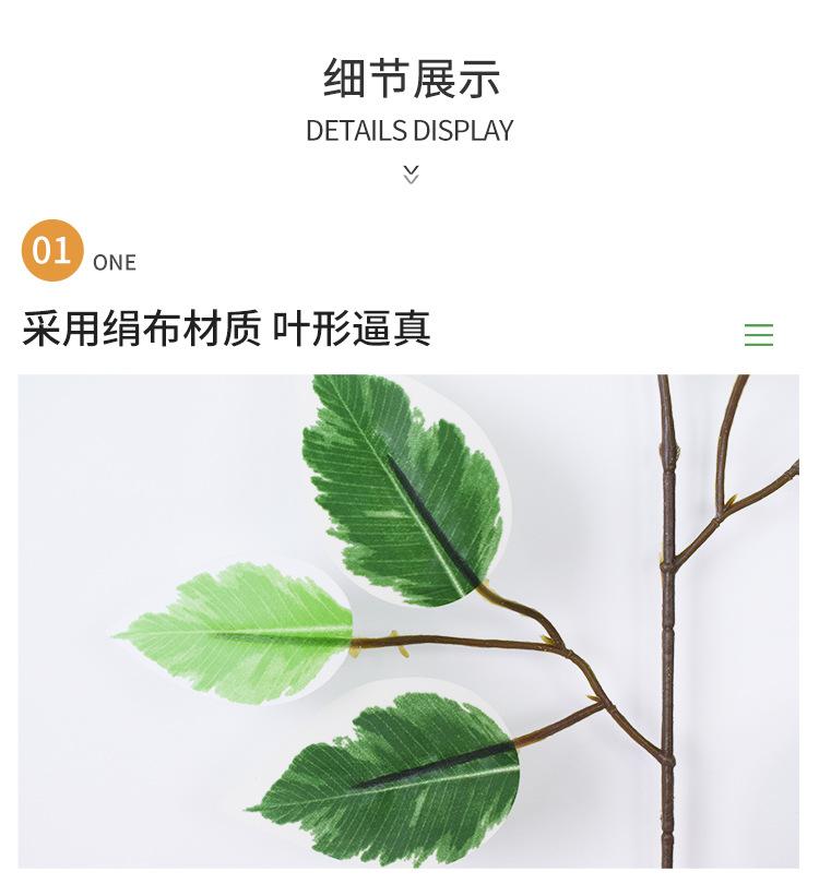 详情仿真绿植_05.jpg