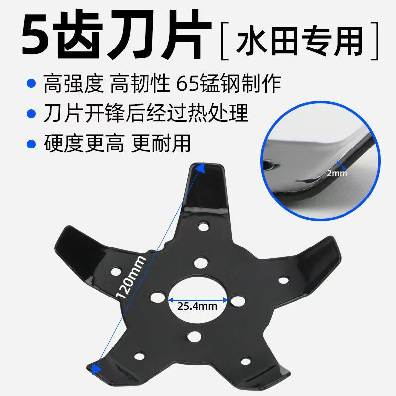 微信图片_20240822092756