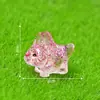 Transfronterizo Nuevo Micro-paisaje Creativo Destello Fino Animal Tortuga Salamandra DIY Accesorios Decorativos Mini Resina Pequeños Adornos