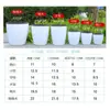 Vaso de Flor de Resina Autoirrigável para Uso Doméstico, Especializado para Plantas Verdes, Vaso para Plantas Hidropônicas, Não Requer Rega, Plástico Atacado
