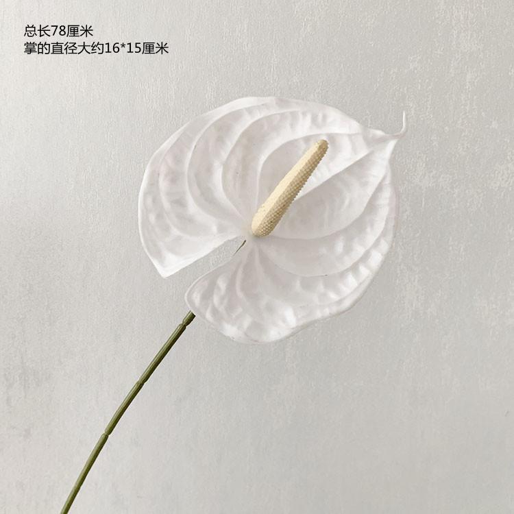 QQ图片20220505113411