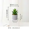 Planta Suculenta Simulada Mais Vendida em Vaso Decoração de Casa Planta Verde em Vaso Combinação de Flores Suculentas Fabricante Dropshipping