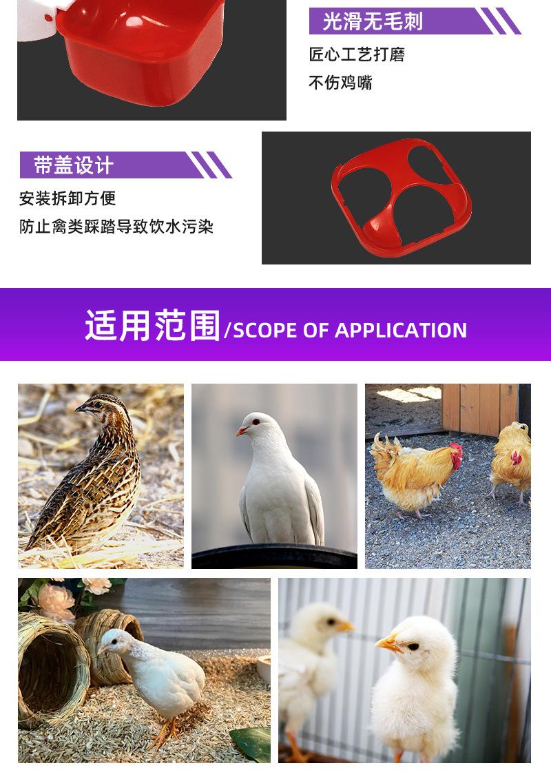 详情页_05.jpg