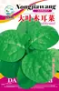 Semillas de Verduras Variadas para Otoño e Invierno, Semillas de Col China, Plántulas con Alta Tasa de Germinación, Nuevas Variedades de Colza Empresas Mayoristas