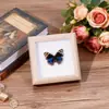 Especimen de Mariposa Real Pintura Decorativa Colgante Adorno de Insecto con Ojos Azules, Marco de Madera Maciza, Regalo para Mejor Amigo, Recuerdo Único