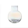 Vaso de Vidro Transparente com Boca Pequena Simples para Mesa de Centro, Desktop, Decoração de Casa, Flores, Flores Secas, Hidropônico, Vaso Decorativo Redondo