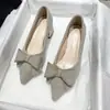 Tacones Gruesos con Faldas, Tacones Altos, Estilo Hada de Boca Baja, Zapatos de Lazo de Suela Blanda 2025 Otoño y Verano Nuevo Estilo Francés Versátil