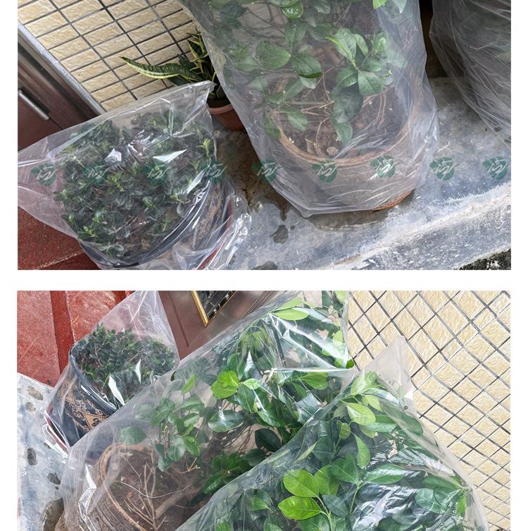 保温罩平口袋_10