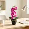 Venda quente transfronteiriça 8 vasos de flor artificial Phalaenopsis bonsai hotel sala de estar quarto decoração ornamentos sensação ao toque planta em vaso flor falsa
