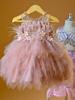 Vestido de Princesa Infantil Estilo 2026 com Renda Floral Bordada, Saia Tutu Plissada, Vestido Doce e Fofo para Menina