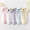 24 novas meias finas de primavera e verão respirável poliéster algodão absorvente de suor meias curtas tornozelo Zhuji atacado meias masculinas e femininas transfronteiriças