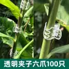 Clipe de Fixação de Plantas Suporte para Flor de Orquídea Borboleta Suporte de Clipe para Orquídea Haste de Suporte Plantas Trepadeiras Arame de Ferro Especial Curvável Horticultura