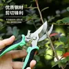 Conjunto Personalizado de Tesouras de Poda para Jardim Tesouras de Poda de Aço Inoxidável Tesouras para Colheita de Frutas Tesouras para Uvas Tesouras para Galhos de Maçã Tesouras Especiais para Arte Floral