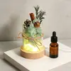 Set de regalo de aromaterapia sin fuego con aceites esenciales, que incluye una piedra difusora, fragancia de cristal, una luz nocturna romántica y es perfecto como regalo de cumpleaños o un detalle considerado para una amiga.