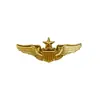 Escudo de Pentagrama Dorado Alas Piloto Broche Metálico Insignia de Uniforme de Aviación Pin Vintage Tridimensional en Relieve
