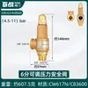 Calentador de Agua Eléctrico Haier Midea Tubería de Agua Válvula de Alivio de Presión Automática Válvula de Seguridad Caldera Tanque de Gas Compresor de Aire Vapor de Escape